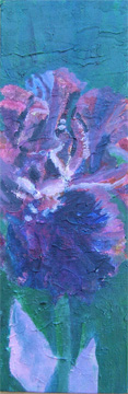iris