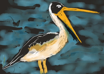 pelican