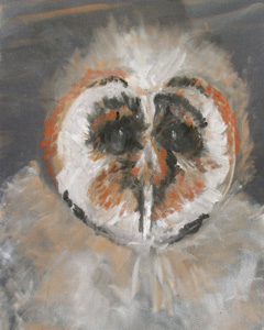 owl