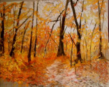 thewoods