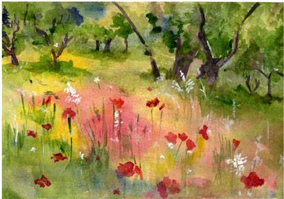 olivegrove