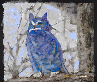 BLUEOWL