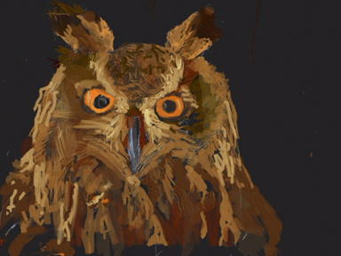 brownowl