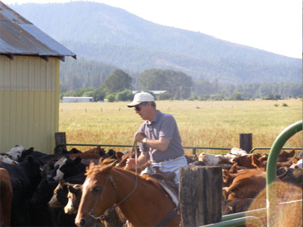 daveworkscattle
