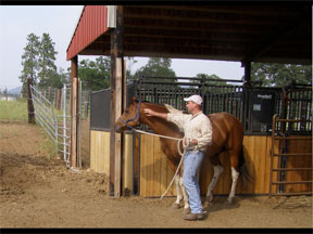 mattatbarn