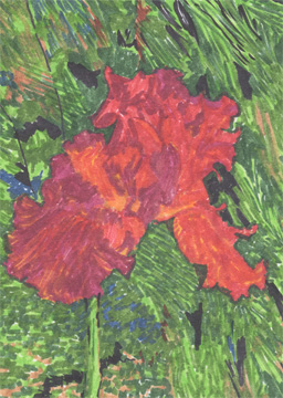 fantasyiris