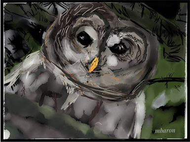 TREEOWL