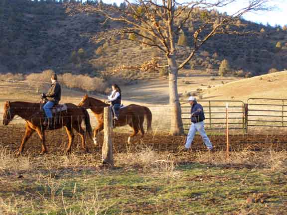 FAMILYRIDING