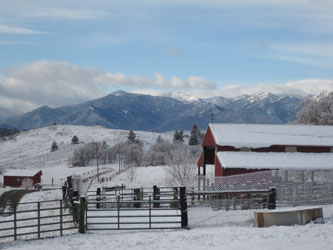 snowbarn