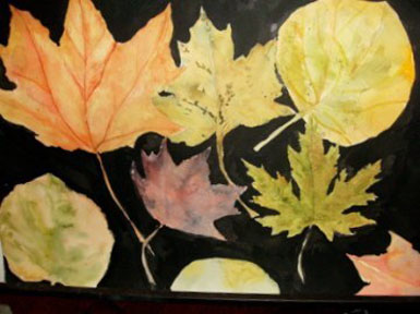 leaves